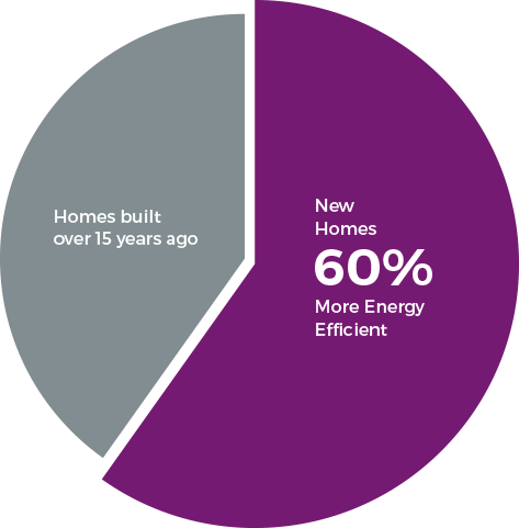 Pie chart showing new build vs old house energy efficiency