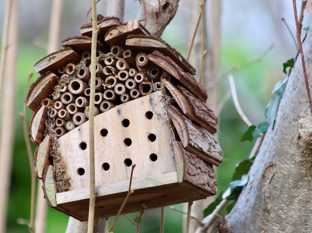 Insect Hotel in a garden
